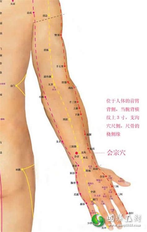 胳膊上的穴位